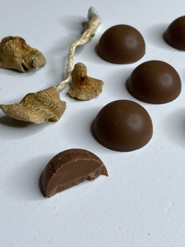 Mushroom Chocolates
