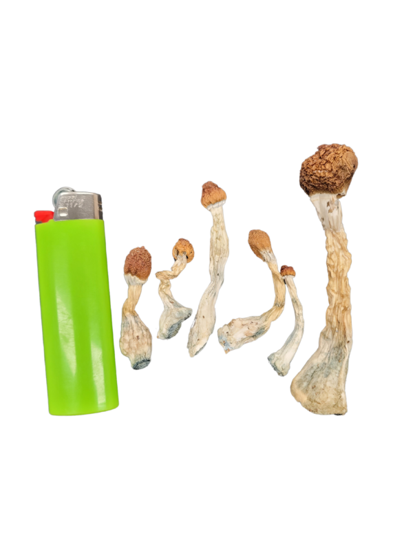 Koh Samui Super Strain - Image 2